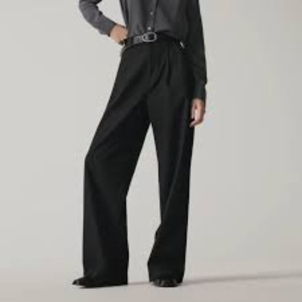 Everlane The Way-High Drape Pant - image 1